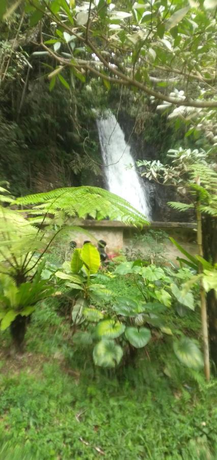 Hidayah Homestay Kelimutu Eksteriør bilde