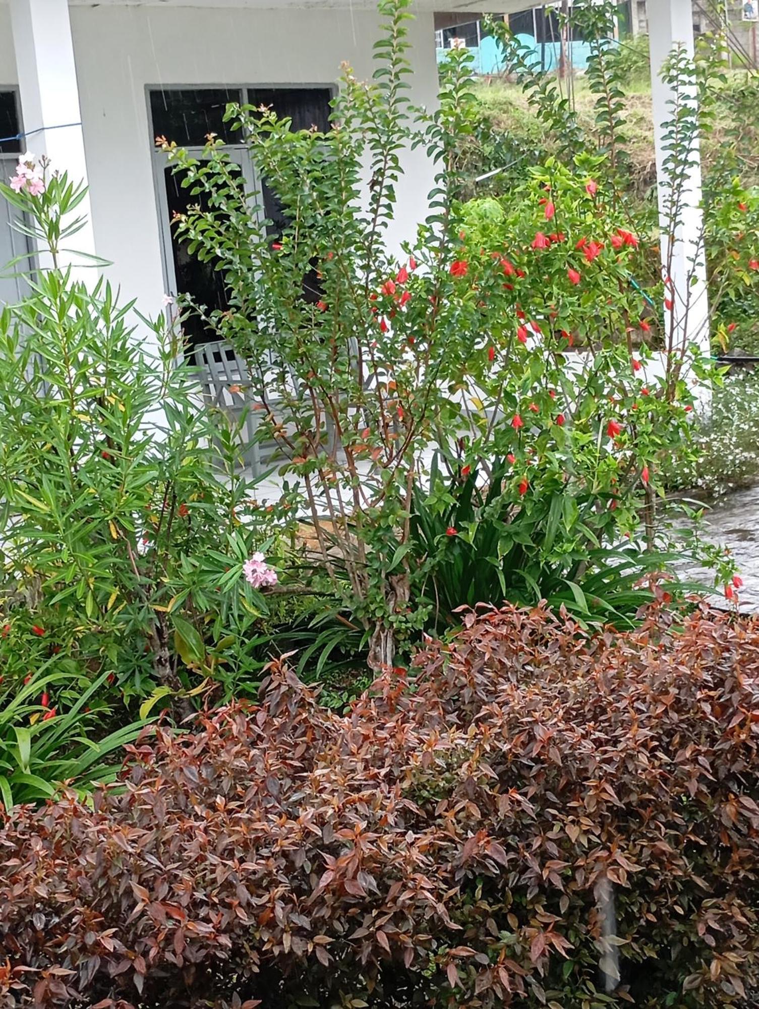 Hidayah Homestay Kelimutu Eksteriør bilde